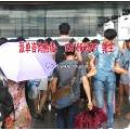 琶洲會展派單與大型活動組織 廣州展會服務的專業引擎